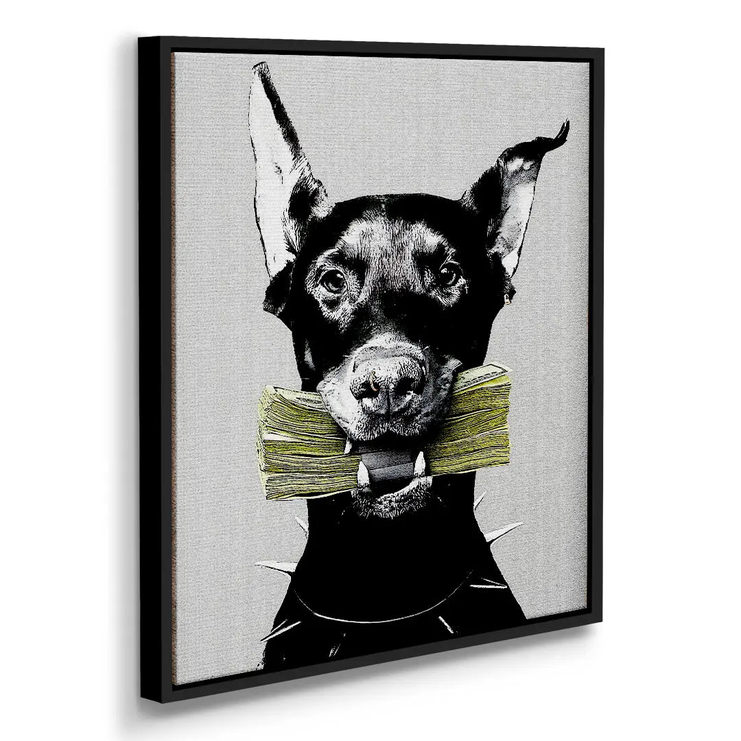 Cash Doberman | Picture