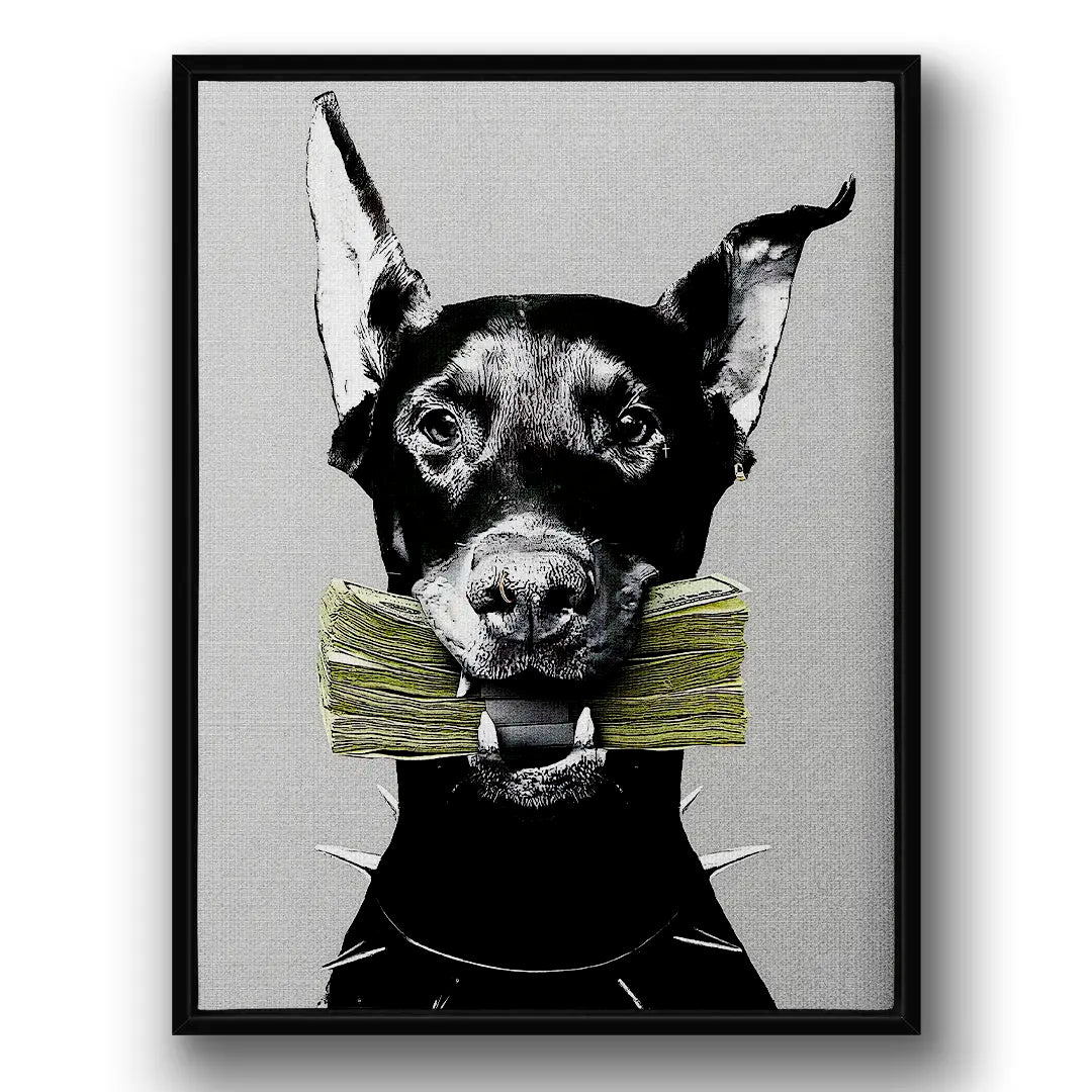 Cash Doberman | Picture
