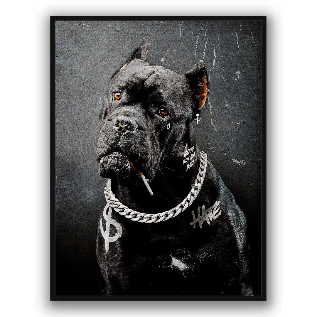 Cane Corso Bad Boy | Poster