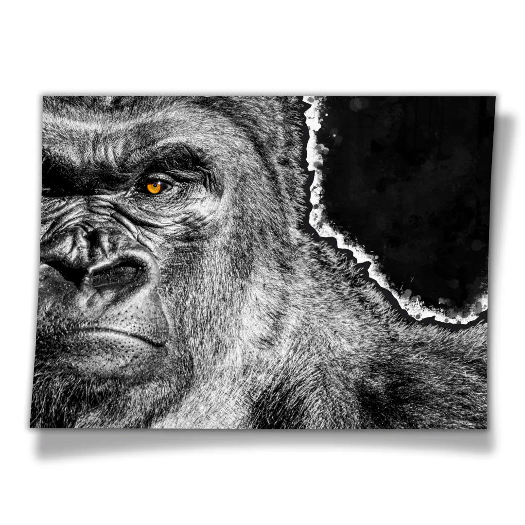 Gorilla | Poster
