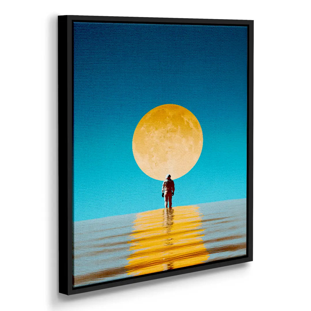 Moon Walker | Picture