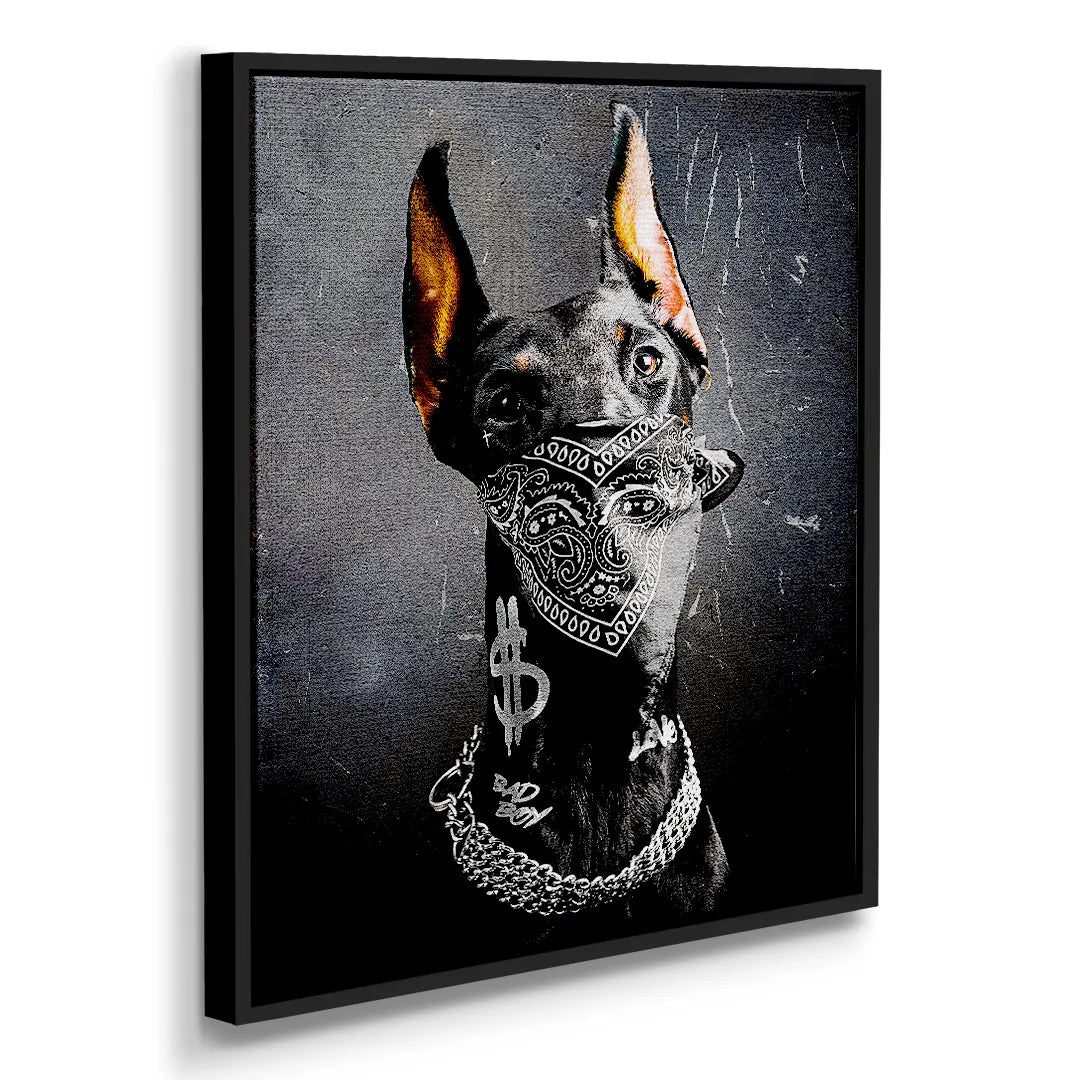 Doberman Bad Boy | Picture