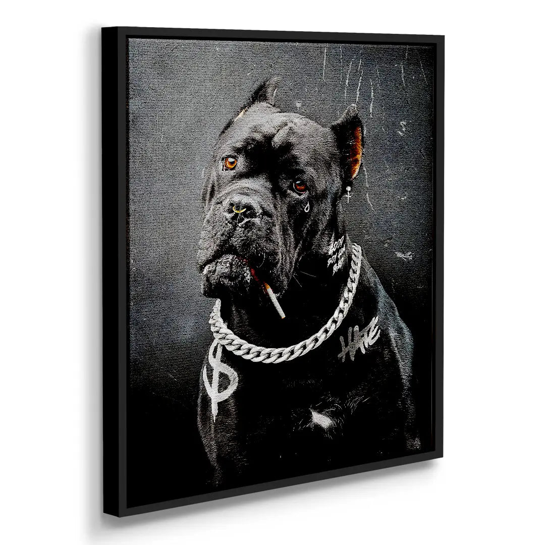 Cane Corso Bad Boy | Picture