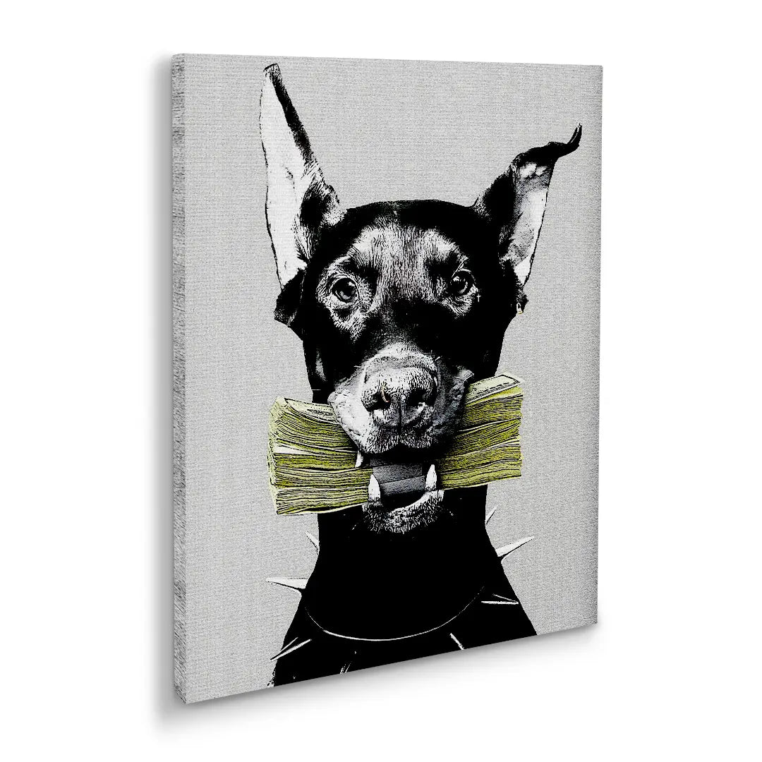 Cash Doberman | Picture