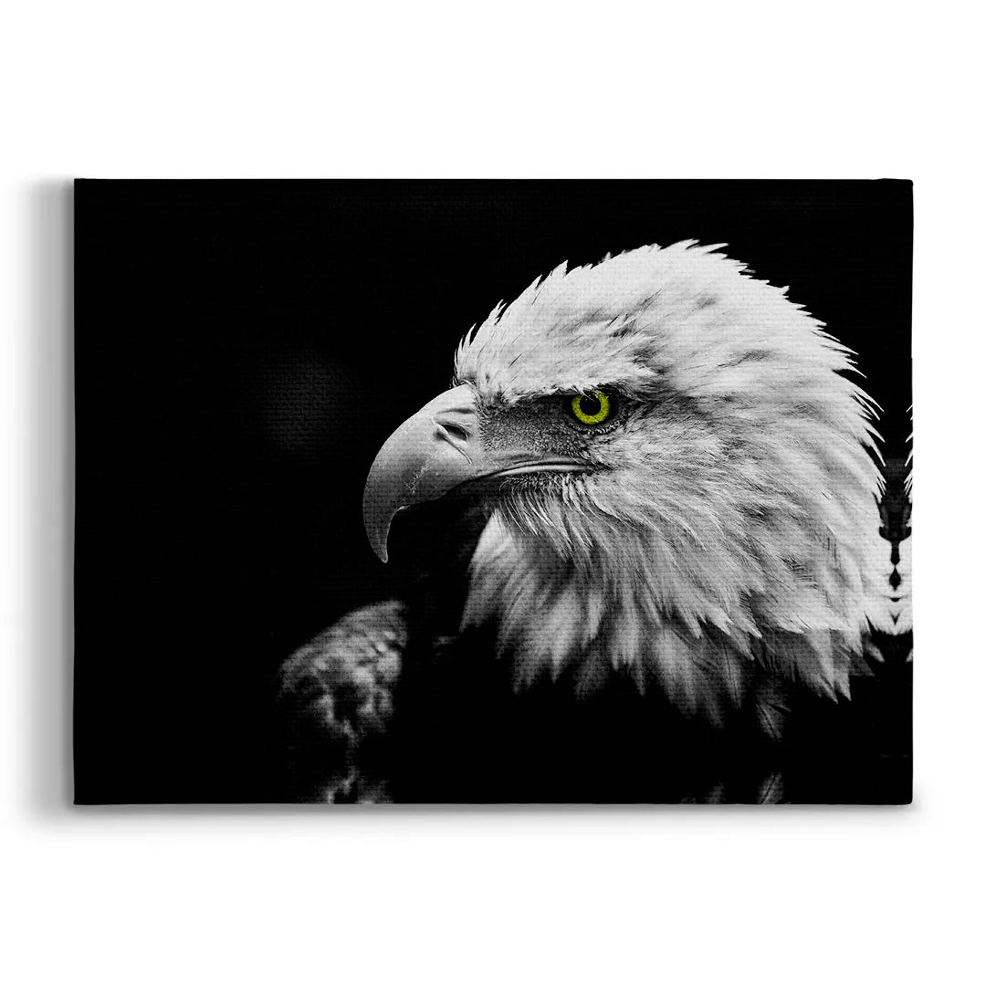 White-tailed Eagle | Painting