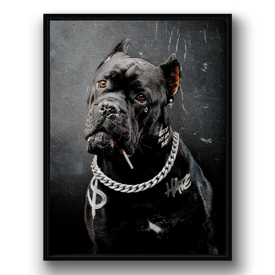 Cane Corso Bad Boy | Picture