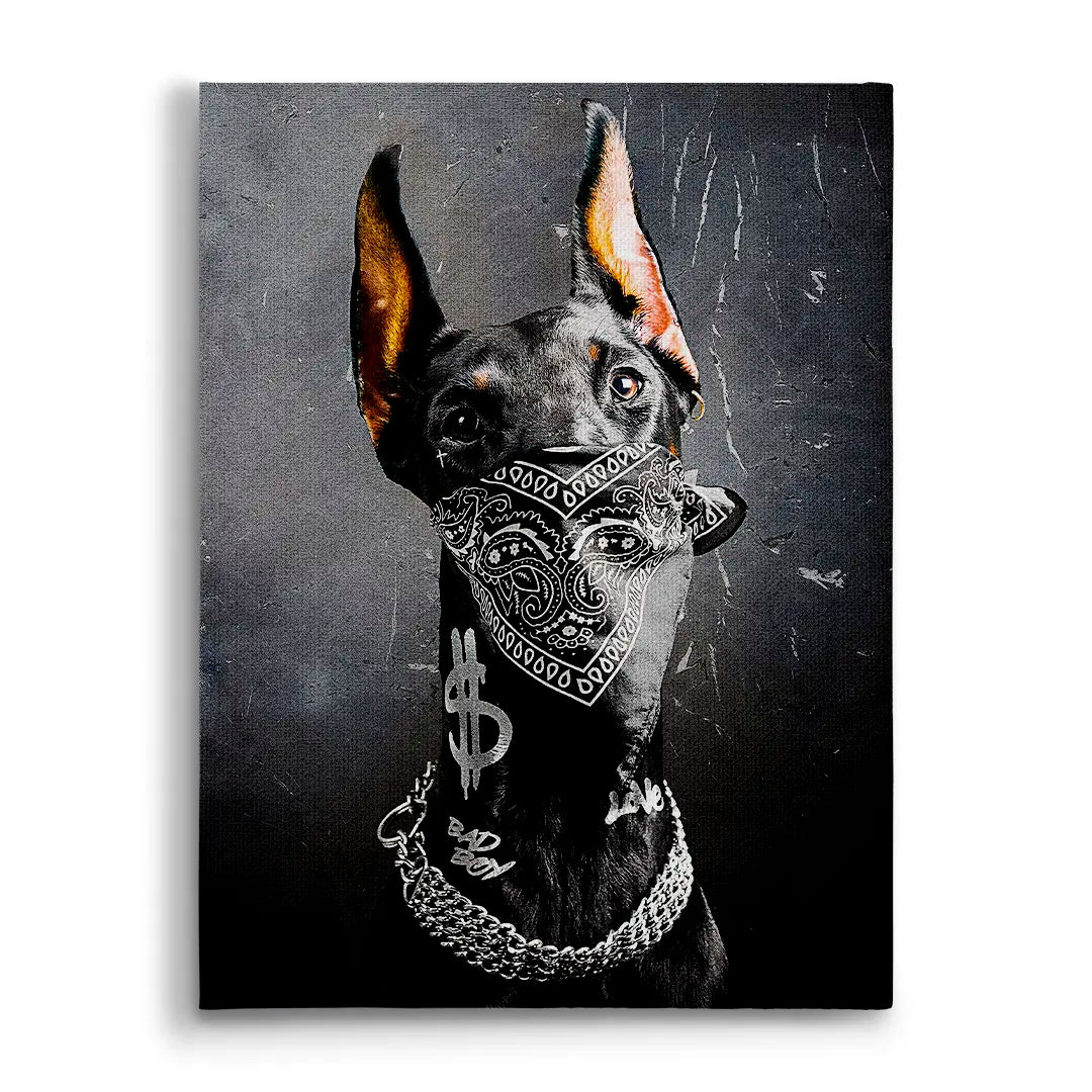 Doberman Bad Boy | Picture