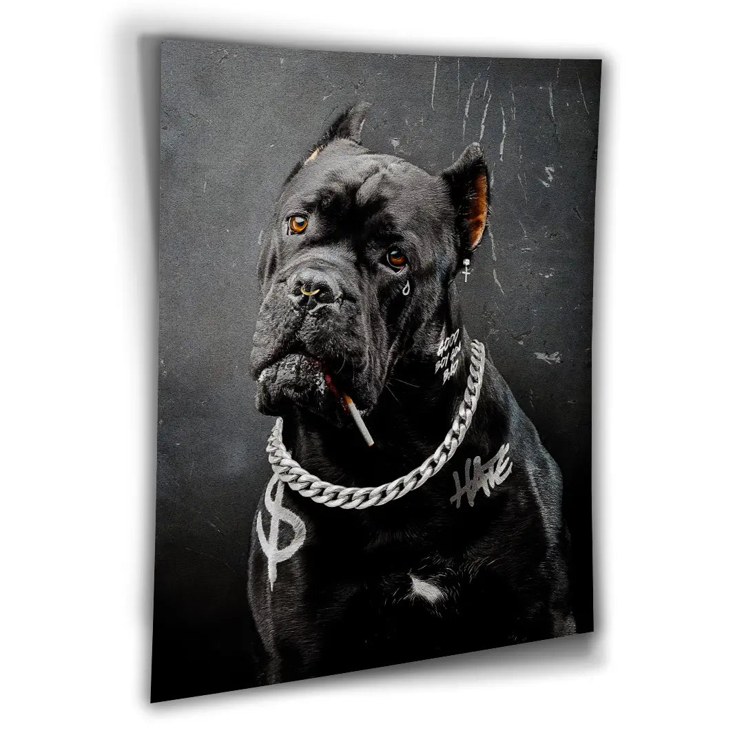 Cane Corso Bad Boy | Poster