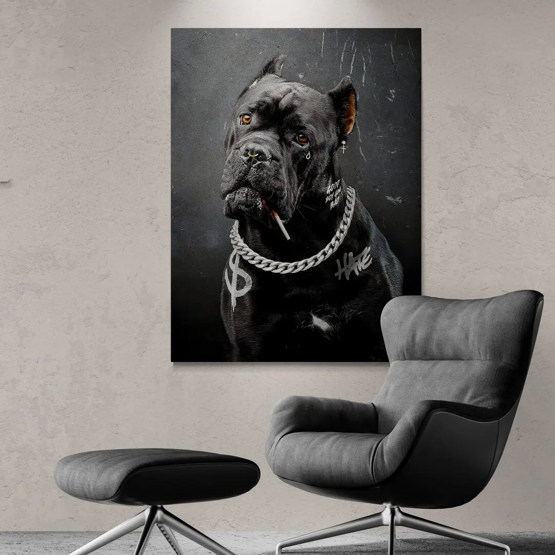 Cane Corso Bad Boy | Picture